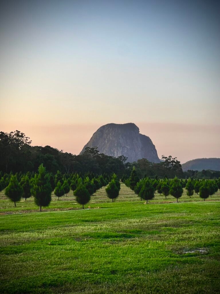 Glass house mountains at sunset